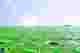 confluence_4_web.jpg